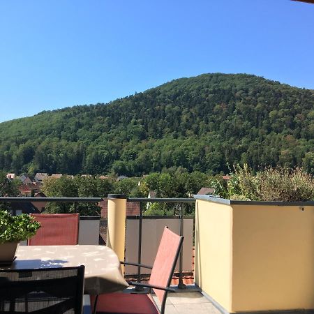 Le Panorama Apartman Kaysersberg-Vignoble Kültér fotó