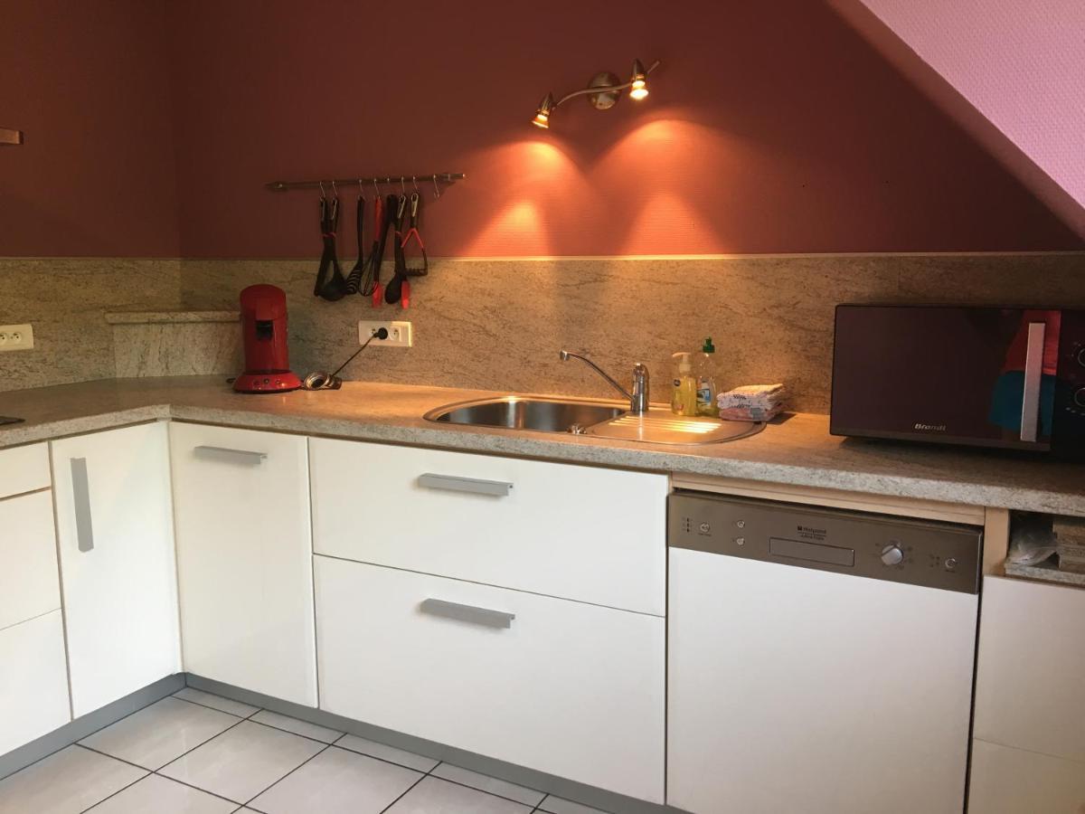 Le Panorama Apartman Kaysersberg-Vignoble Kültér fotó