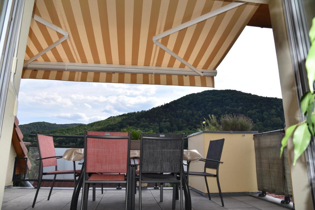 Le Panorama Apartman Kaysersberg-Vignoble Kültér fotó