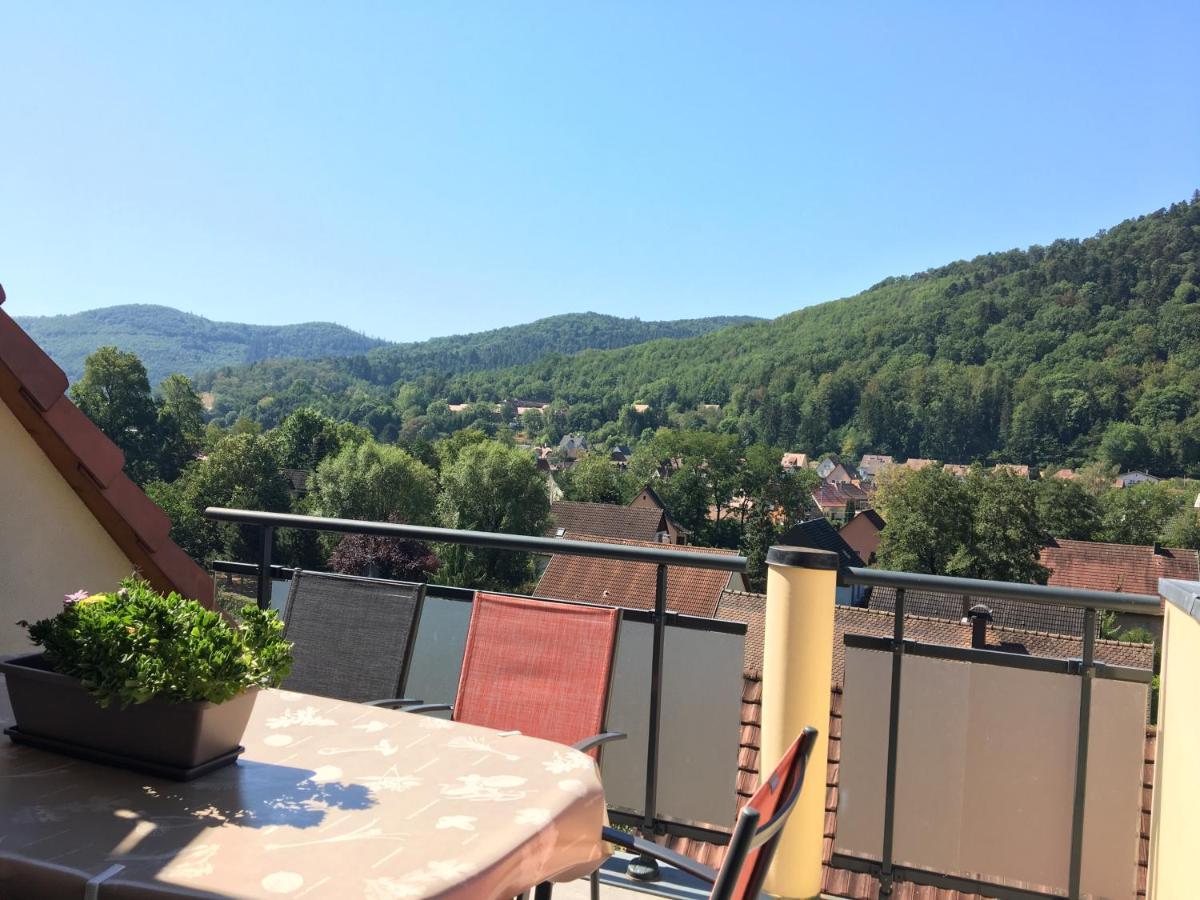 Le Panorama Apartman Kaysersberg-Vignoble Kültér fotó