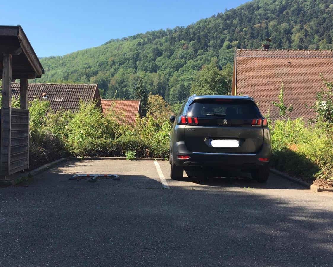 Le Panorama Apartman Kaysersberg-Vignoble Kültér fotó