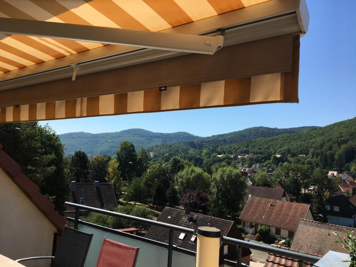Le Panorama Apartman Kaysersberg-Vignoble Kültér fotó