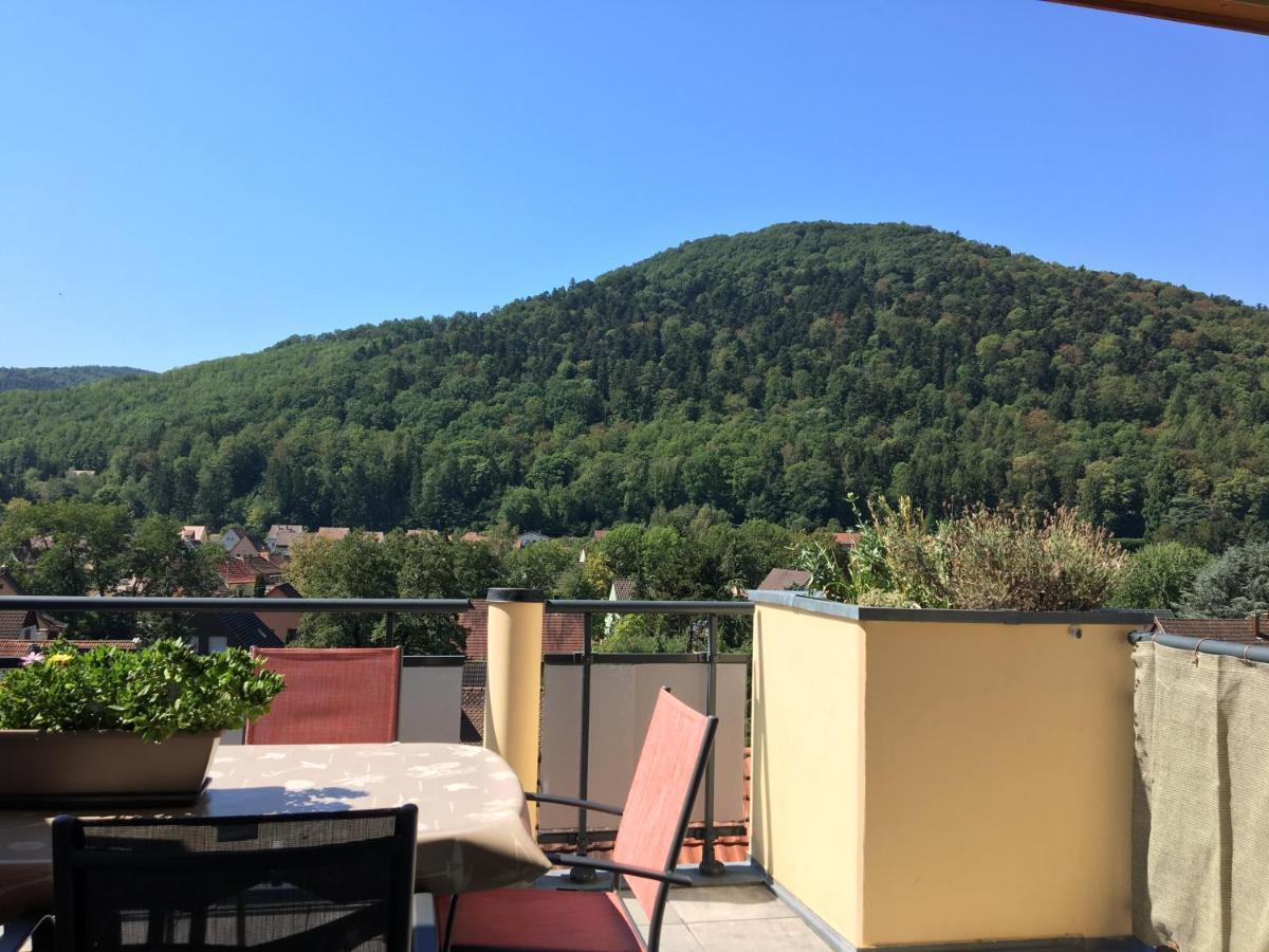 Le Panorama Apartman Kaysersberg-Vignoble Kültér fotó