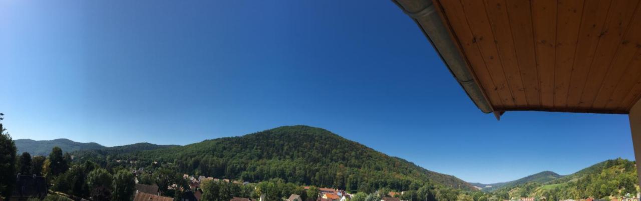 Le Panorama Apartman Kaysersberg-Vignoble Kültér fotó